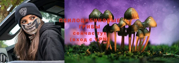 PSILOCYBIN Бутурлиновка